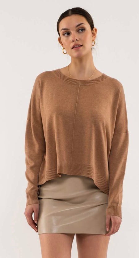 Brown and Basic Top