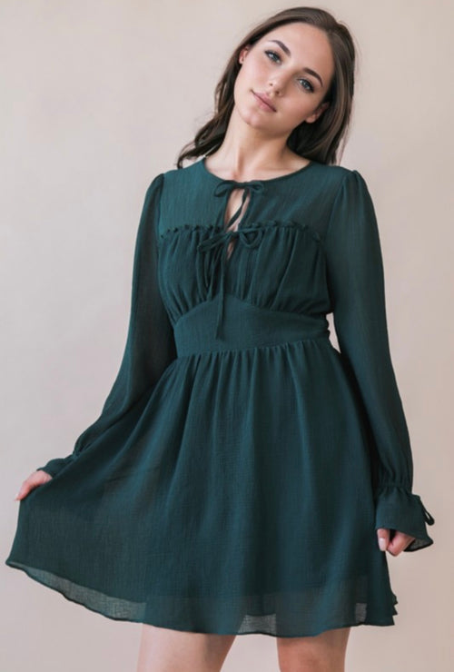 Ribbons and Bows Dress